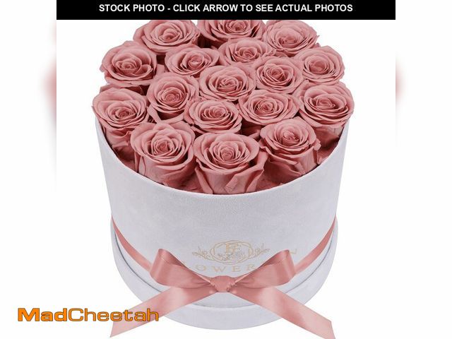 Lot 74-14212639 - Prifroti 17 Flowers in a Luxury Suede Box, Birthday Gifts for Women, Preserved Flowers, Mothers Day ...