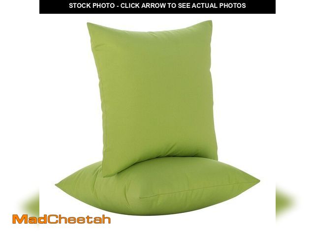 Lot 74-14268777 - JMGBird Water-Resistant Outdoor Pillows Set of 2, 18x18 inch Durable Pure Green Throw Pillows with I...
