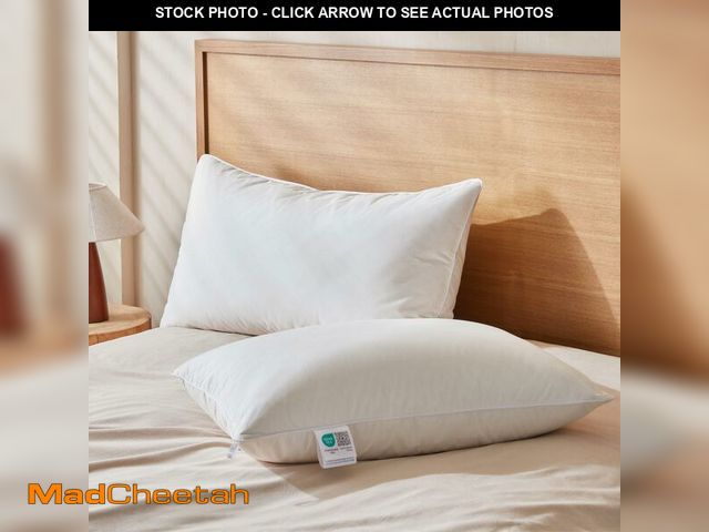 Lot 74-12705470 - Saisier Goose Feather Down Pillows Standard Size Set of 2, Soft Pillows with 100% Organic Cotton Fab...