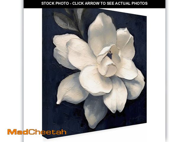 Lot 74-13382598 - Trademark Fine Art Canvas Wall Art - Sasha 'Night Magnolia' Wall Art for Living Room, Bedroom, or Of...