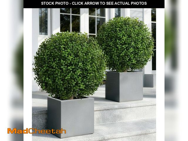 Lot 74-13949651 - FancyPlus Artificial Boxwood Topiary Ball Trees for Outdoor Set of 2 Fake Plant Bushes with Ground S...
