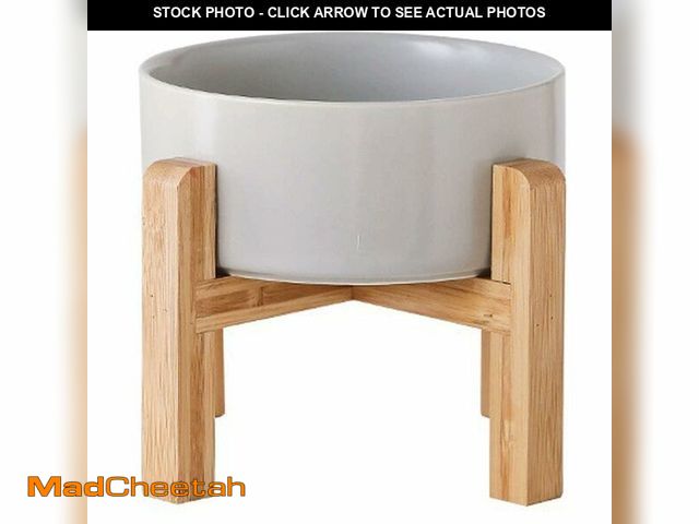 Lot 74-13628841 - Petygooing 28 OZ Grey Elevated/Raised Ceramic Dog Bowl for Small and Medium Breeds, Dog Food Water D...