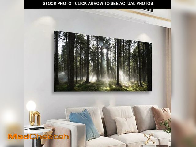 Lot 74-13294034 - Sunlight Forest Pictures Canvas Wall Art for Living room Office Bedroom Wall Decor,Forest Wall Art P...