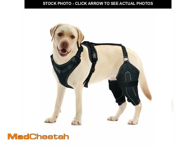 Lot 74-12962563 - LISPOO Dog Knee Brace for Torn ACL/CCL Hind Leg,Adjustable Support with Sufficient Wrapping and Supp...