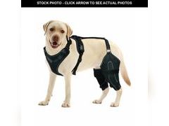 Lot 74-12962563 - undefined