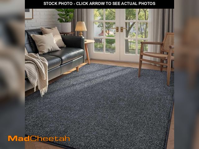 Lot 74-12306541 - FinReÃâ¬c 4x6 Washable Area Rugs for Bedroom Living Room, Low Pile Thin Rug Solid Color, Non-Slip ...