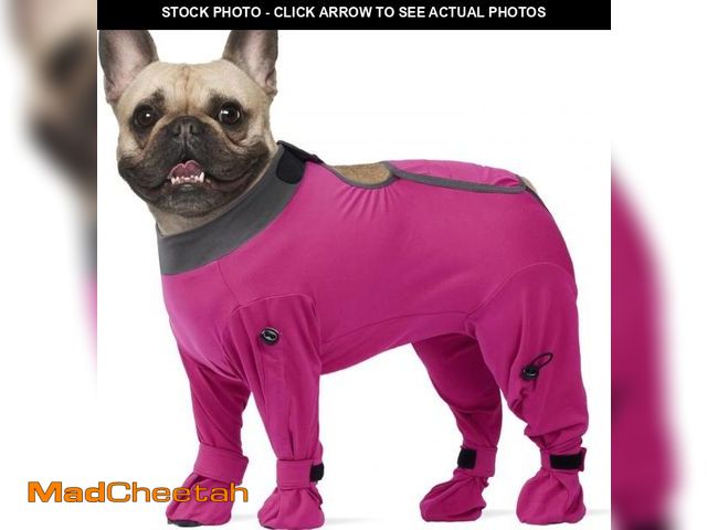 Lot 74-12331257 - ROZKITCH Post-Surgery Dog Recovery Suit, Anti-Licking Bodysuit for Dogs, Neuter &amp; Spay Recovery ...