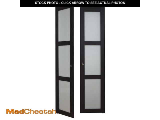 Lot 74-12279732 - Renin 30 in. x 80 1/2 in. Euro 3-Lite Design Pivot Door - UNUSED