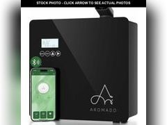 Lot 74-13320105 - undefined