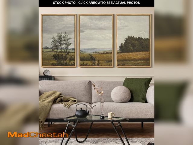 Lot 74-12487135 - Drsoum Vintage Landscape Wall Art 16x24in3pcs Natural Framed Grassland Wall Prints Classic Retro Far...