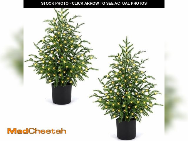 Lot 74-14147002 - ENVEN 2FT Artificial Norfolk Pine Christmas Tree Ã¢â¬â Tabletop Faux Tree Unlit/Prelit with 50 LE...