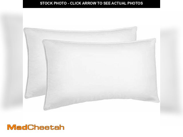 Lot 74-12695380 - Basics Down-Alternative Pillows for Stomach and Back Sleepers, Soft Density, 20 x 36 inches, 2-Pack,...