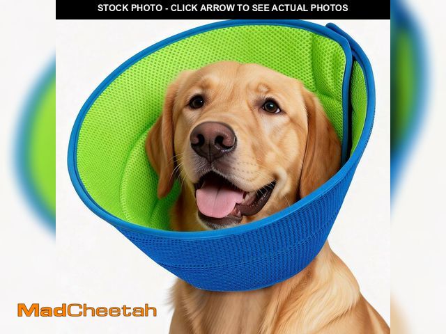 Lot 74-14058636 - Dog Cone Collar Soft Cone for Dogs Dirt-Resistant and Washable Soft Dog Elizabethan Collars for Smal...