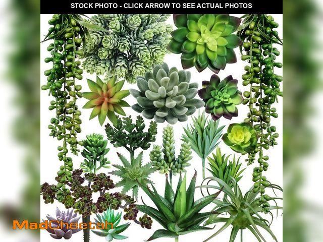 Lot 74-12718895 - Winlyn 19 Pcs Assorted Artificial Succulents Plants Unpotted Small Green Hanging Succulent Aloe Fake...