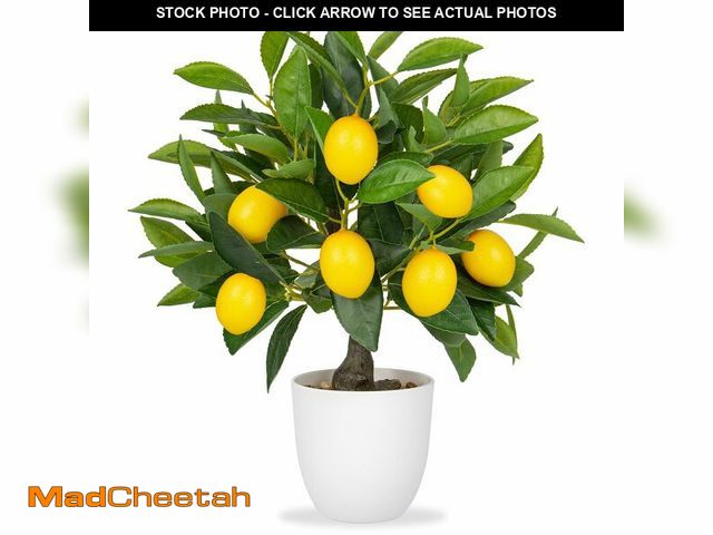 Lot 74-13566345 - Artificial Potted Plants 15.7 inches Fake Lemon Tree Artificial Lemons Citrus Tree with White Pot Fa...