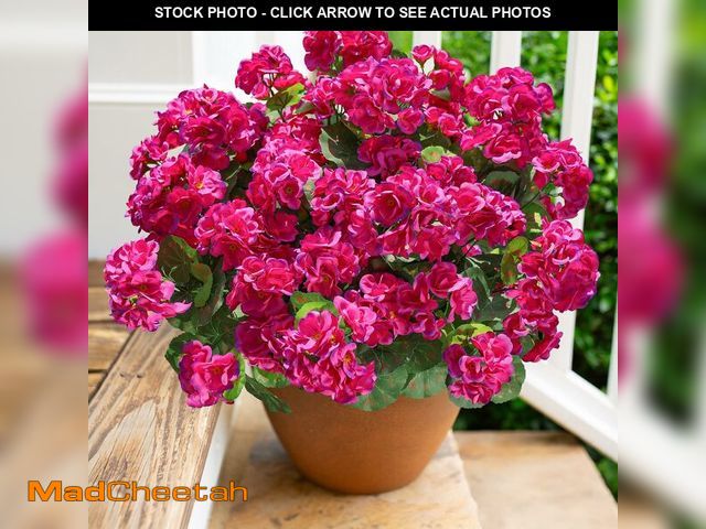 Lot 74-14264612 - Artificial Geranium Fake Flowers for Outdoors Decoration, 6 Bundles Silk Geraniums Flower UV Resista...