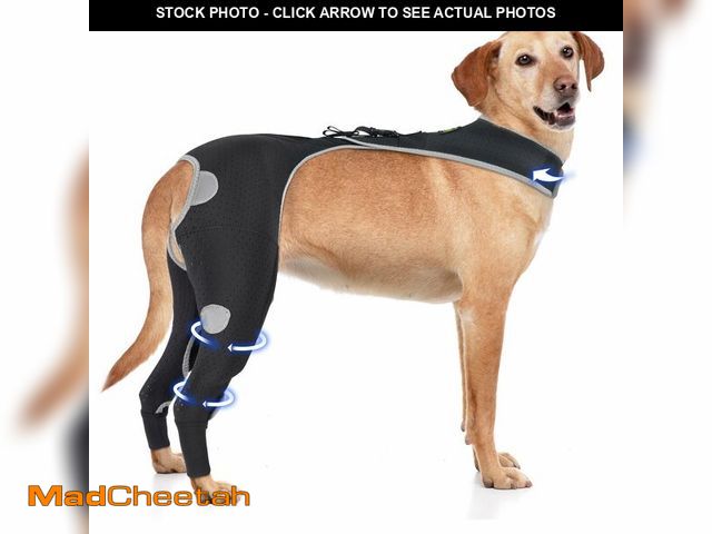 Lot 74-12705188 - Reflective Dog Surgical SleeveÃ¢â¬â Breathable Back Leg Braces with a Back Buckle for Wound Prote...