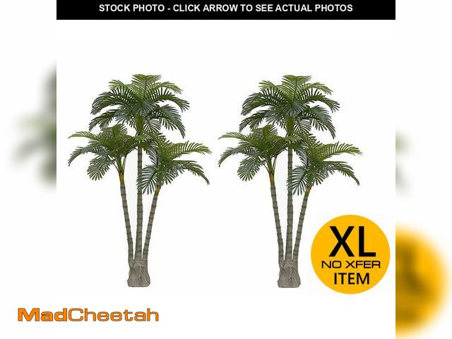 Lot 74-13932809 - AMERIQUE Pair Gorgeous 6.3 Feet Standable Triple Trunk Artificial Palm Tree, Real Touch Technology, ...