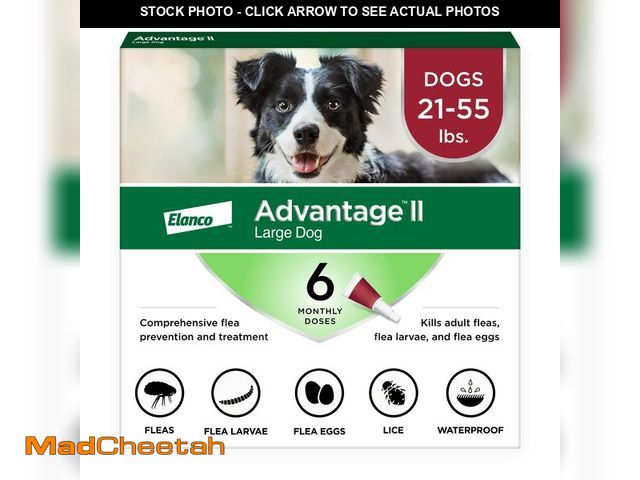 Lot 74-13711778 - Advantage II Large Dog Vet-Recommended Flea Treatment &amp; Prevention | Dogs 21-55 lbs. | 6-Month S...