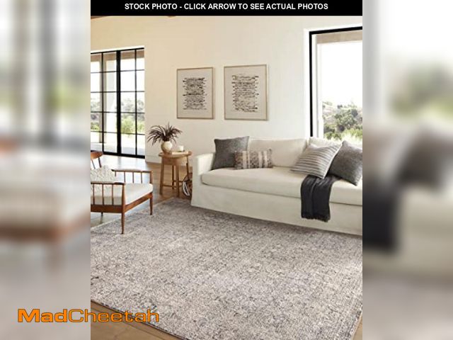 Lot 74-12151619 - Amber Lewis X Loloi Alie Ale-01 7'10" X 10' Area Rug - Gray, Mist - UNUSED