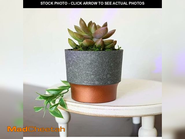 Lot 74-13788374 - The HC Companies 3 Inch Sprite Mini Succulent Pot - Small Plastic Planter with Drainage for Indoor P...