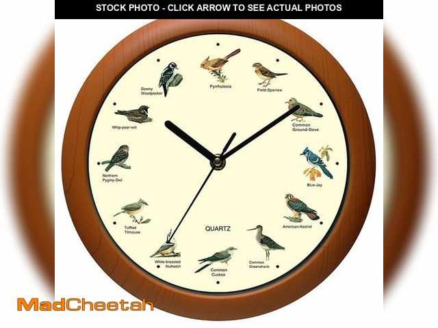 Lot 74-14265052 - Belinlen Singing Bird Wall Clock 12 Inch of The Bird Names and Songs - UNUSED