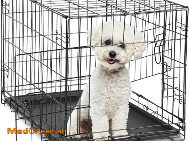 Lot 74-12136895 - DUMOS 24-Inch Double Door Dog Crate | Durable Metal Pet Kennel with Secure Locks | Foldable &amp; Po...