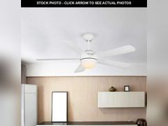 Lot 74-13226038 - undefined