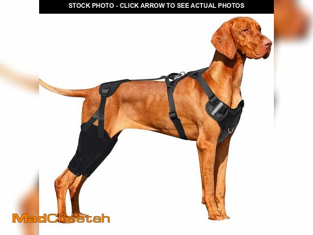 Lot 74-12437384 - Huimpet Dog Knee Leg Brace, Dog ACL Brace for Back Hind Rear Leg, Dog Leg Support Brace for Torn ACL...