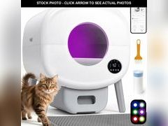 Lot 74-12828282 - undefined