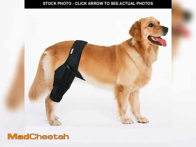 Lot 74-13545862 - MerryMilo Dog Knee Brace for Hind Leg Support, Helps Stabilize ACL, Cruciate Ligament &amp; Arthriti...