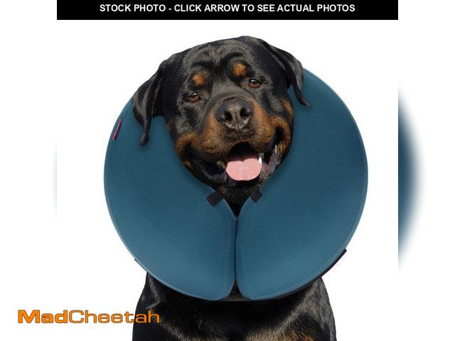 Lot 74-12310118 - MIDOG Inflatable Dog Neck Donut Collar Alternative After Surgery, Soft Protective Recovery Cone for ...