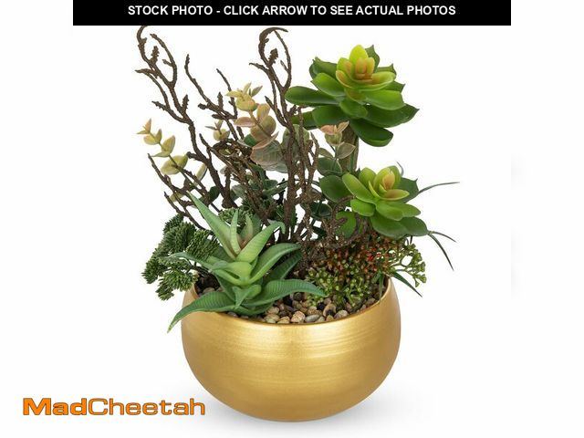 Lot 74-13949068 - DILATATA Artificial Succulent Plants in Gold Pot Faux Succulent Arrangement Fake Potted Plants with ...