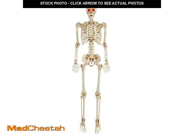 Lot 74-14278363 - Home Accents Holiday 5 ft. LED Pose-N-Stay Skeleton - UNUSED