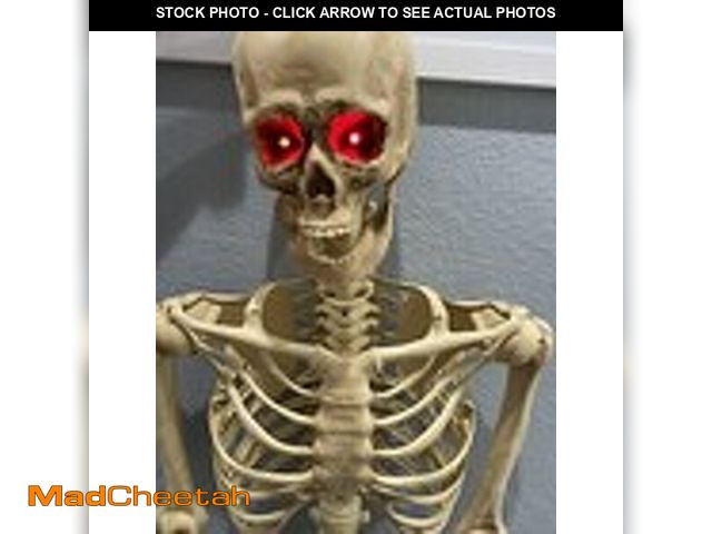 Lot 74-14278465 - Halloween Posable Skeleton Prop Light Up Eyes - UNUSED