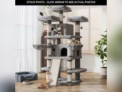 Lot 74-12764882 - undefined