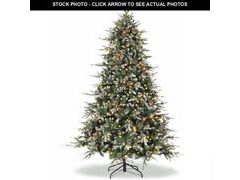 Lot 74-12781973 - undefined