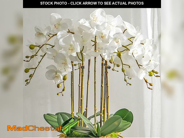 Lot 74-13542406 - DUYONE Artificial Orchid Plant, 35 Inch 4 Pcs Phalaenopsis Flowers with Leaves, Real Touch Orchid St...