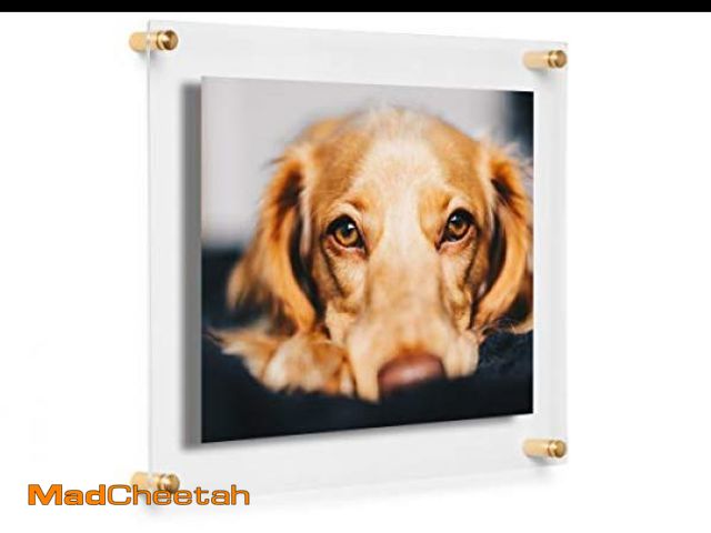 Lot 74-12365850 - COOL MODERN FRAMES 8x10" Clear Double Panel Floating Acrylic Picture Frame Display with Gold Hardwar...