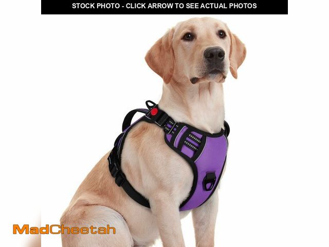 Lot 74-14271610 - rabbitgoo Dog Harness for Large Dogs, No Pull Pet Harness with Soft Padded Handle, Adjustable Reflec...