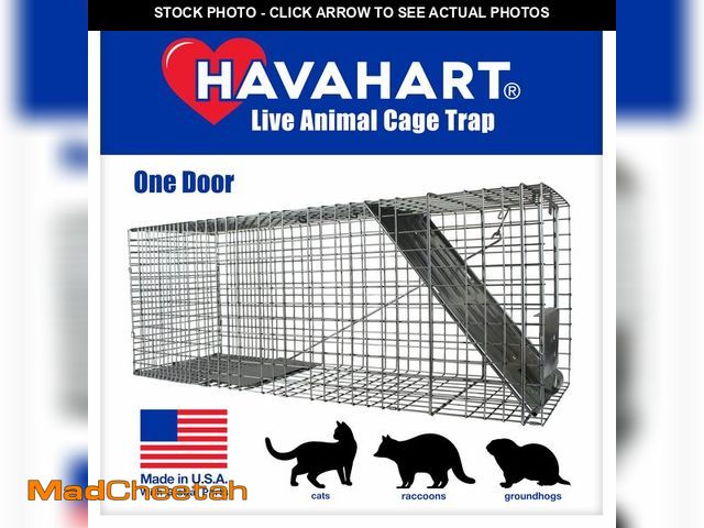 Lot 74-13802333 - HAVAHART 1079SR Large 1-Door Humane Catch and Release Live Animal Trap Cage - Live Raccoon Trap, for...
