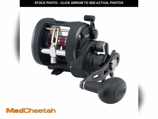 Lot 74-12504237 - PENN Warfare Level Wind Conventional Inshore/Nearshore Fishing Reel, HT-100 Star Drag, Max of 15lb |...
