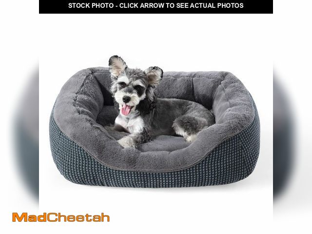 Lot 74-14209908 - INVENHO Small Dog Bed for Small Dogs, Cat Beds for Indoor Cats Washable, Orthopedic Dog Bed, Warming...