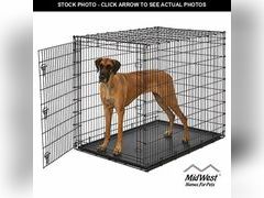 Lot 74-12661013 - undefined