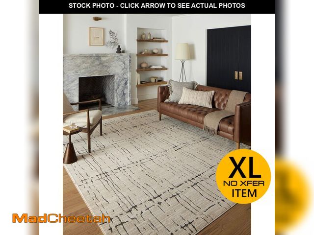 Lot 74-13577654 - Loloi Darby Collection DAR-06 Sand/Dk. Grey 7'-10" x 10' Area Rug - USED