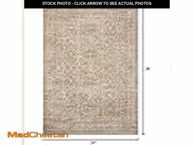 Lot 74-13733843 - Loloi Angela Rose Blake Collection BLA-06 Oatmeal/Spice 2'-0" x 3'-0", .25" Pile Height, Fringe, Acc...