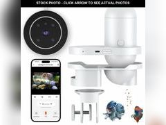 Lot 74-13628758 - undefined