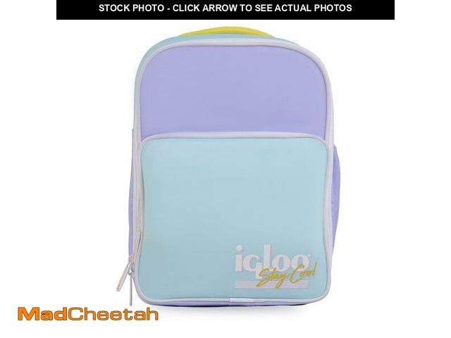 Lot 74-12713102 - Igloo Lilac Breeze CONVERTIBLE RETRO BACKPACK - UNUSED