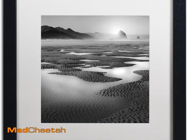 Lot 74-12399388 - Trademark Fine Art Path by Moises Levy in White Matte and Black Framed Artwork, 16 by 16" - UNUSED
