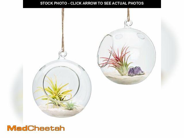 Lot 74-13627846 - Mkono 2 Packs 6-Inch Round Hanging Glass Planter Air Plant Terrarium Globe for Succulent, Tillandsia...
